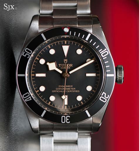 tudor heritage black bay 79230n|tudor black bay watch price.